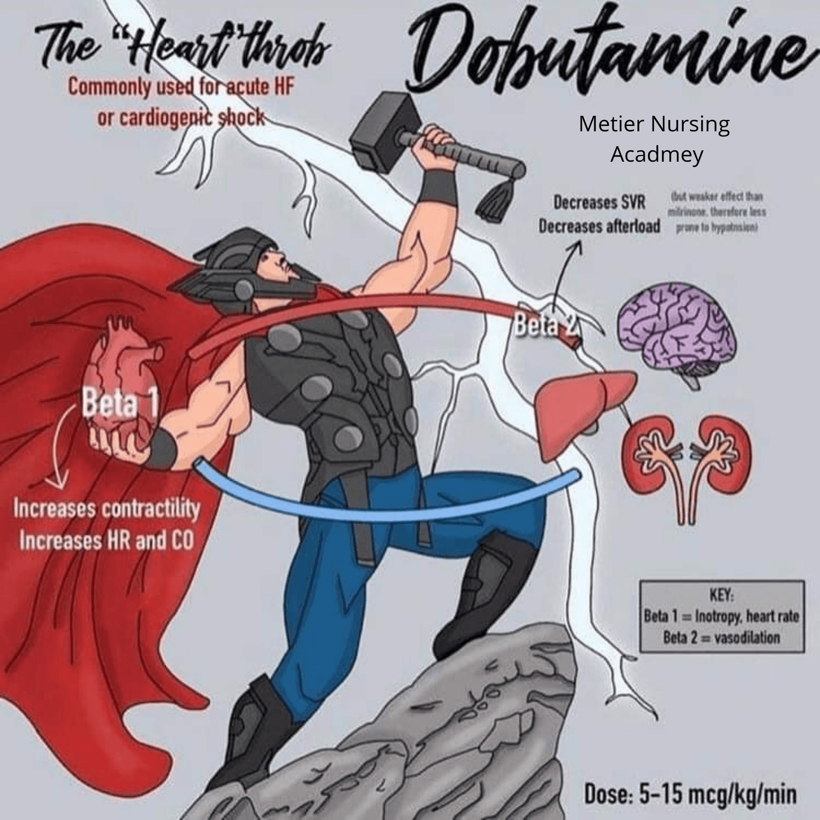 Dobutaminic super hero